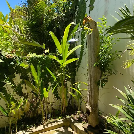 Balian Prana