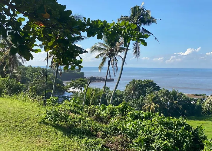 Balian Prana Selemadeg (Bali)