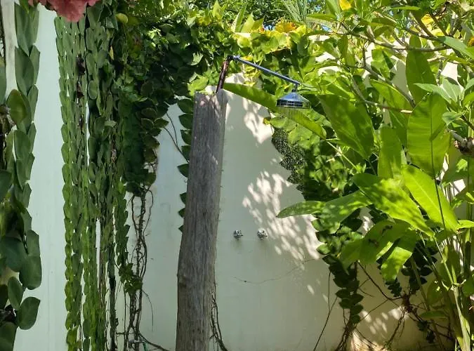 Pensión Balian Prana 4*